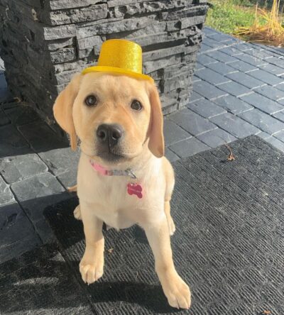 Penny
